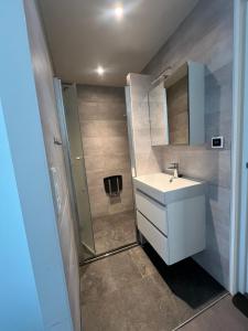 Koupelna v ubytování Villa Louise + 15 fotografií