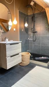 a bathroom with a shower with a sink and a mirror at A la Petite Grange in Obenheim +20 photos