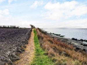 a dirt road leading to the ocean on a beach at 4 person holiday home in Tranekær in Tranekær +19 photos