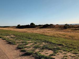 a dirt road in the middle of a field at 8 person holiday home in Væggerløse in Marielyst