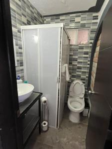 a small bathroom with a toilet and a sink at Acogedor Departamento en SLP in San Luis Potosí