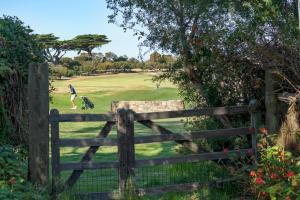 een persoon die op een golfbaan achter een hek loopt bij Cleversley Cottage - Ocean Views Pets Golf in Flinders
