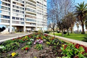 a garden of flowers in front of a building at Habitación frente a Muelle Vergara en un departamento in Viña del Mar