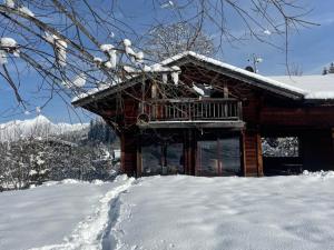 Chalet spacieux aux Gets - 4 chambres, 9 pers, Animaux admis, Wi-Fi, Parking privatif - FR-1-671-302 v zimě