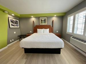 a bedroom with a large bed and two windows at The SeaScape Inn in San Francisco