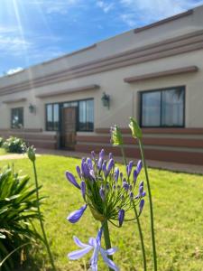 Φωτογραφία από το άλμπουμ του Los Álamos - casa de campo σε Juan L. Lacaze