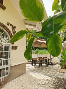 Εστιατόριο ή άλλο μέρος για φαγητό στο The Cocoon House