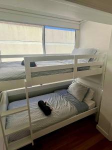 Postel nebo postele na pokoji v ubytování Bondi Ocean Views, Parking, 1 min to Beach