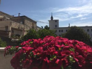 a pile of red flowers in front of buildings at B&B Feni in Pompei