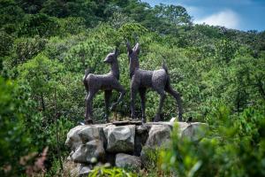 a statue of three lambs standing on a rock at Roca Venados in Mascota