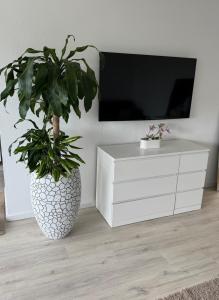 a living room with a white cabinet and a plant at Sunset Suite mit Weitblick in Ditzingen