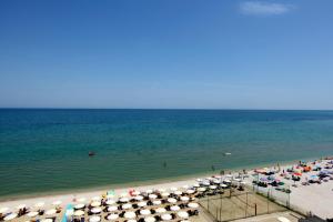 Przyroda w pobliżu tego hotelu