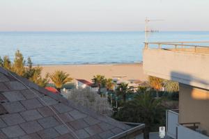 Príroda v okolí apartmánu + 14 fotografií