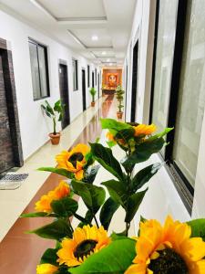 Φωτογραφία από το άλμπουμ του hotel philips στο Αχμενταμπάντ