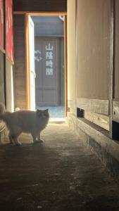 民泊,山陰時間的相册照片