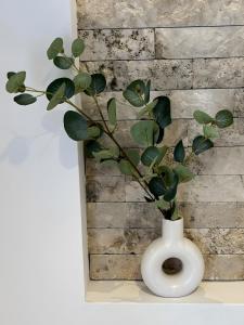 Fotografie z fotogalerie ubytování Apartment Solia v destinaci Frassinetto