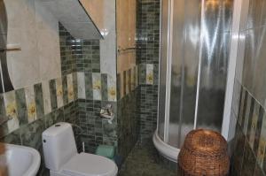 a bathroom with a toilet and a shower and a sink at Raduga 514 in Zatoka +30 photos