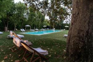 a swimming pool with lounge chairs and a tree at Villa Pisani Bonetti in Lonigo +33 photos