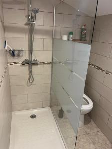 a bathroom with a glass shower with a toilet at L'olivière in Saint-Paul-Trois-Châteaux