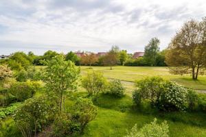 a field of grass with trees and bushes at Feriendorf Rugana - Klassik 1-Raum Appartement mit Terrasse A51 in Dranske +2 photos