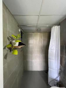 a bathroom with a shower curtain and a toilet at Modern Luxe 2BHK Pune in Pune