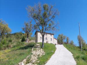 ein Haus auf einem Hügel neben einer unbefestigten Straße in der Unterkunft Escape with Pool & WiFi in Carpegna