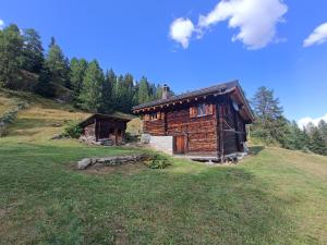 a log cabin on a hill in a field at Untere Schweibe in Riederalp