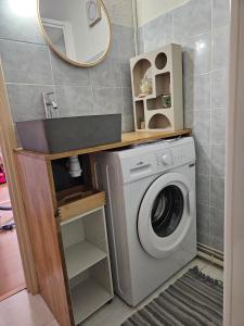 bagno con lavatrice e specchio di Épiléa la romantique au bord du lac a Aiguebelette-le-Lac