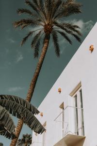 Fotografie z fotogalerie ubytování Vacança beach v destinaci Denia