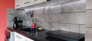 cocina con fregadero y pared roja en Apartment Lux Pearl of Ureki, en Ureki 11 fotos más