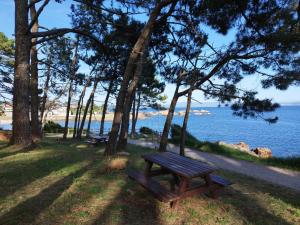 a wooden bench sitting in the grass near the water at AnnaChic in Ribeira