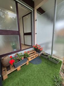 Φωτογραφία από το άλμπουμ του Studio Cosy - Proche frontière στο Gaillard