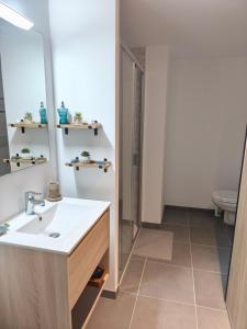 a bathroom with a sink and a mirror at STELLA Modern apartment, terrace and sea view Donville in Donville-les-Bains +13 photos