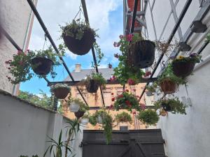 a bunch of potted plants hanging from a building at Monteurstudio am Wasserturm in Worms