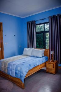 a blue bedroom with a bed and a window at Avocado Kilimanjaro Homes in Marangu