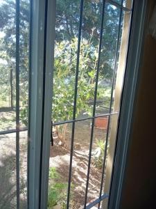 an open window with a view of a yard at casa de campo a 40 km de Rosario in Villa Amelia