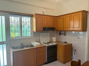 a kitchen with wooden cabinets and a stove and a sink at Πάροδος Νικολάου Σταθούση in Leonidio