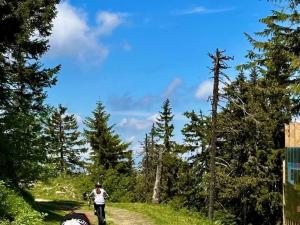 Naturlandskabet i nærheden af lejligheden