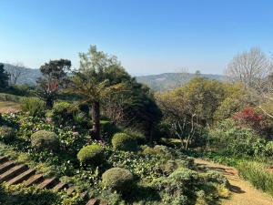 a garden with a bunch of plants and flowers at Hilton Horizon in Hilton