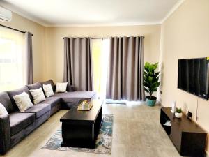 利隆圭Bole Suites的客厅里有一张沙发和一台电视