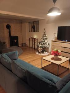 a living room with a couch and a christmas tree at Agréable chambre chez l habitant in Alençon