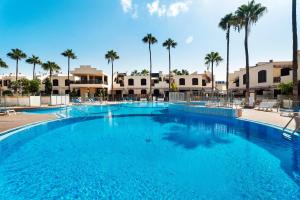 a large swimming pool with palm trees in the background at Casa Tagoro Dream in Costa Del Silencio