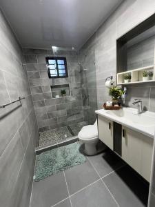 a bathroom with a shower and a toilet and a sink at Residencial Juan Emilio 1 in San Felipe de Puerto Plata
