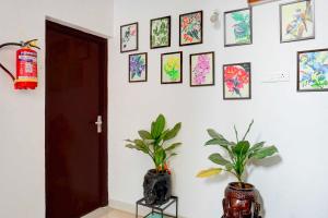 a room with two plants and pictures on the wall at Hotel O Baner Near Mumbai Pune Highway in Pune