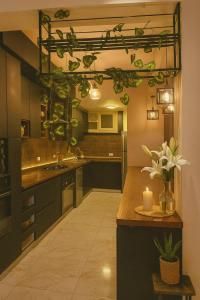 een keuken met een aanrecht met planten erop bij WS Luxury Apartment for Families with 5G Internet in Zes oktober (stad)