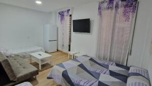 Un dormitorio con una cama, un sofá y un televisor. en Serranos Salamanca Centro, en Salamanca