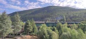 ein Zug, der durch einen Wald mit einem Berg fährt in der Unterkunft Mirador de Bergosa VU-HUESCA-20-111 in Castiello de Jaca