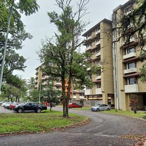 a tree in the middle of a street next to a building at Rumah Penangkap Mimpi in Kertih