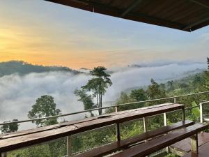 Un banco de madera con vistas a un valle montañoso brumoso. en COOL CAMPING-Klang Khao1, 