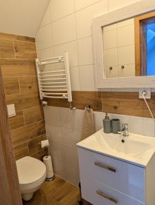 a bathroom with a toilet and a sink and a mirror at Apartament Przy Potoku in Zubrzyca Górna +66 photos
